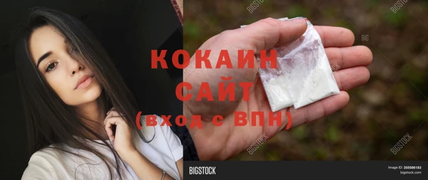 стаф Баксан