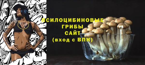 гашиш Ельня