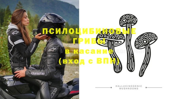 крисы Белоозёрский