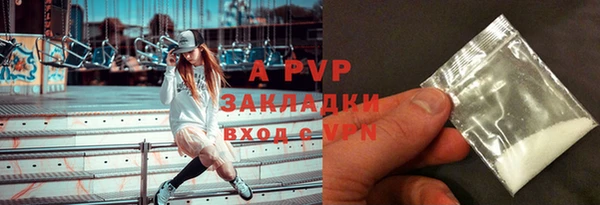 стаф Баксан