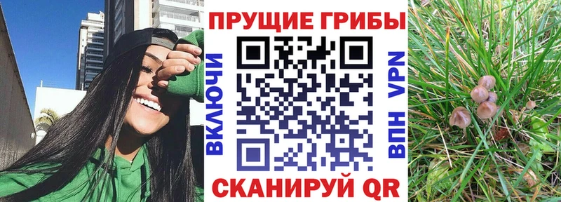 Псилоцибиновые грибы Cubensis ссылка на мегу ТОР Высоковск продажа наркотиков
